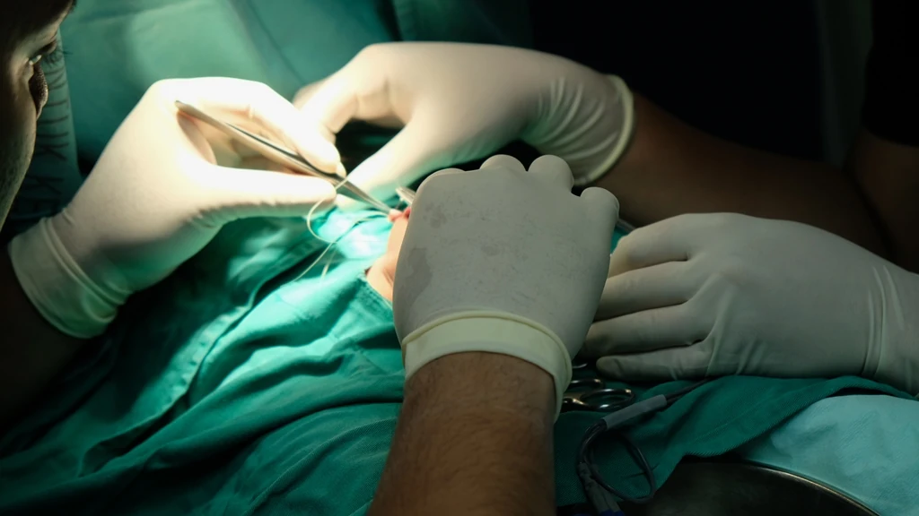 Basic Procedures & Minor Surgery​