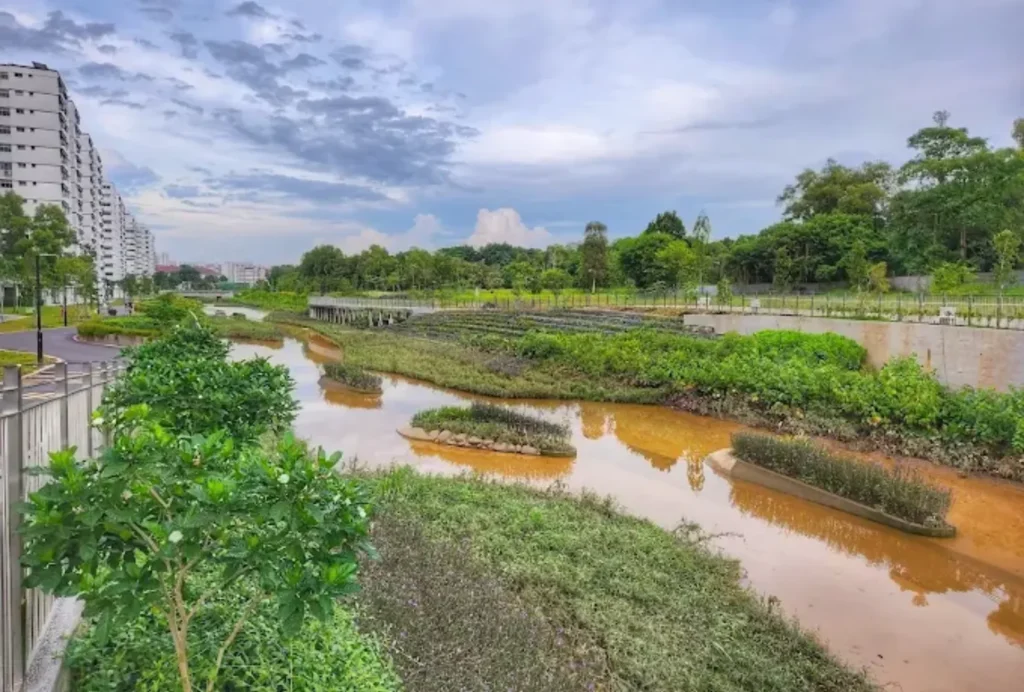 history & development