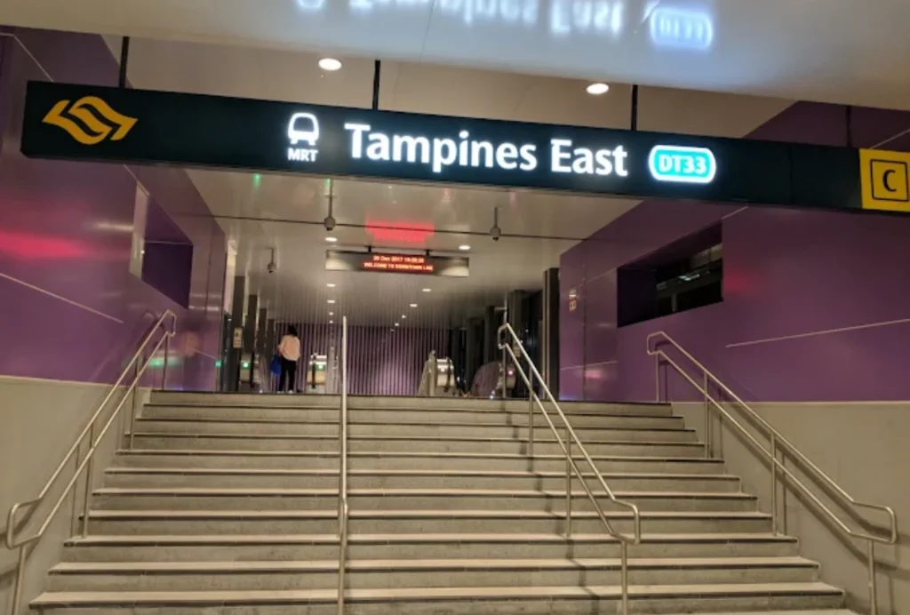 station layout, concourse & platform design