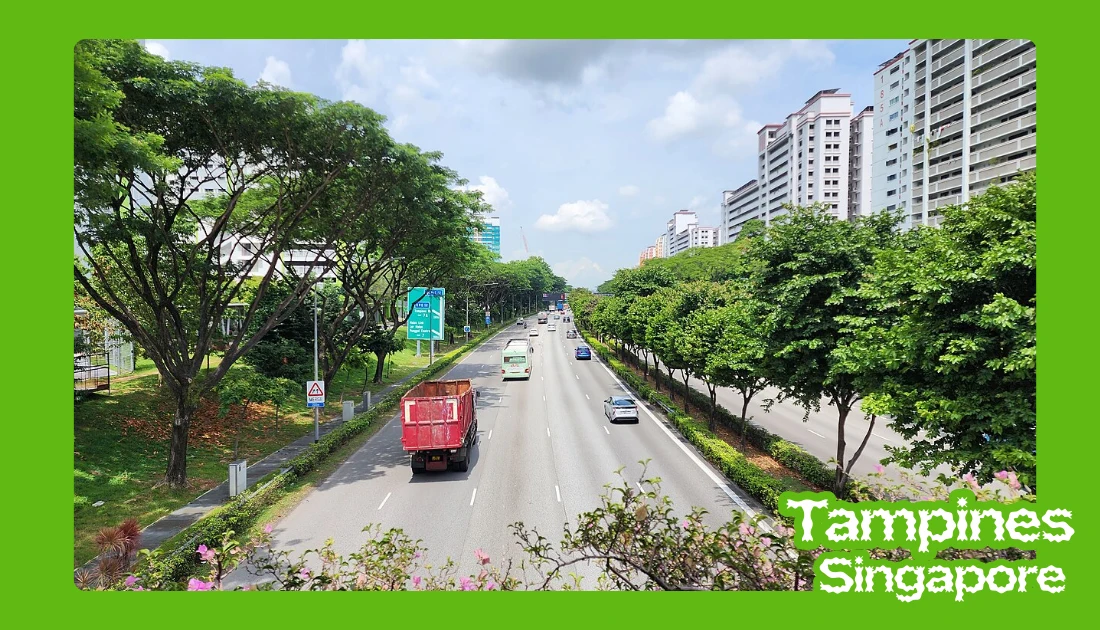 tampines expressway