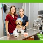 the vet clinic tampines