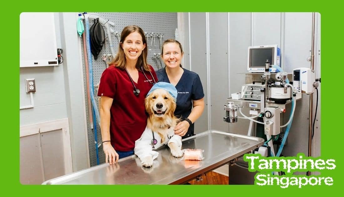 the vet clinic tampines