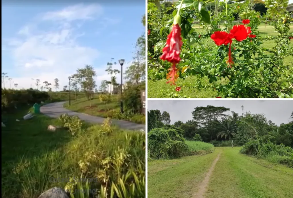 trails & walking paths