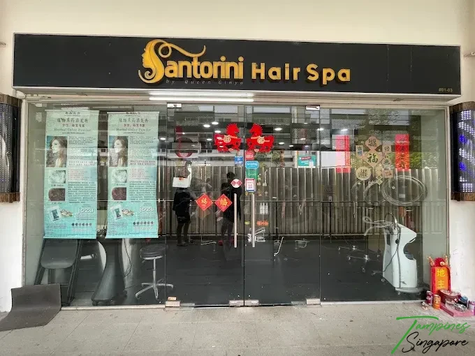 Santorini Hair Spa and Le Sandy Hair Beauty Tampines
